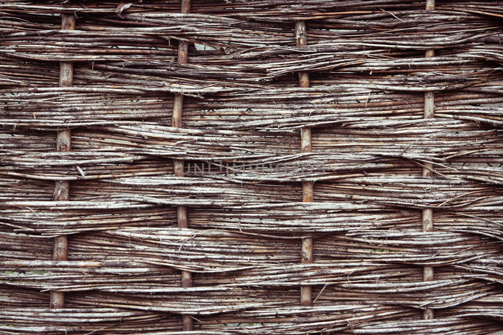 Reed fence by trgowanlock