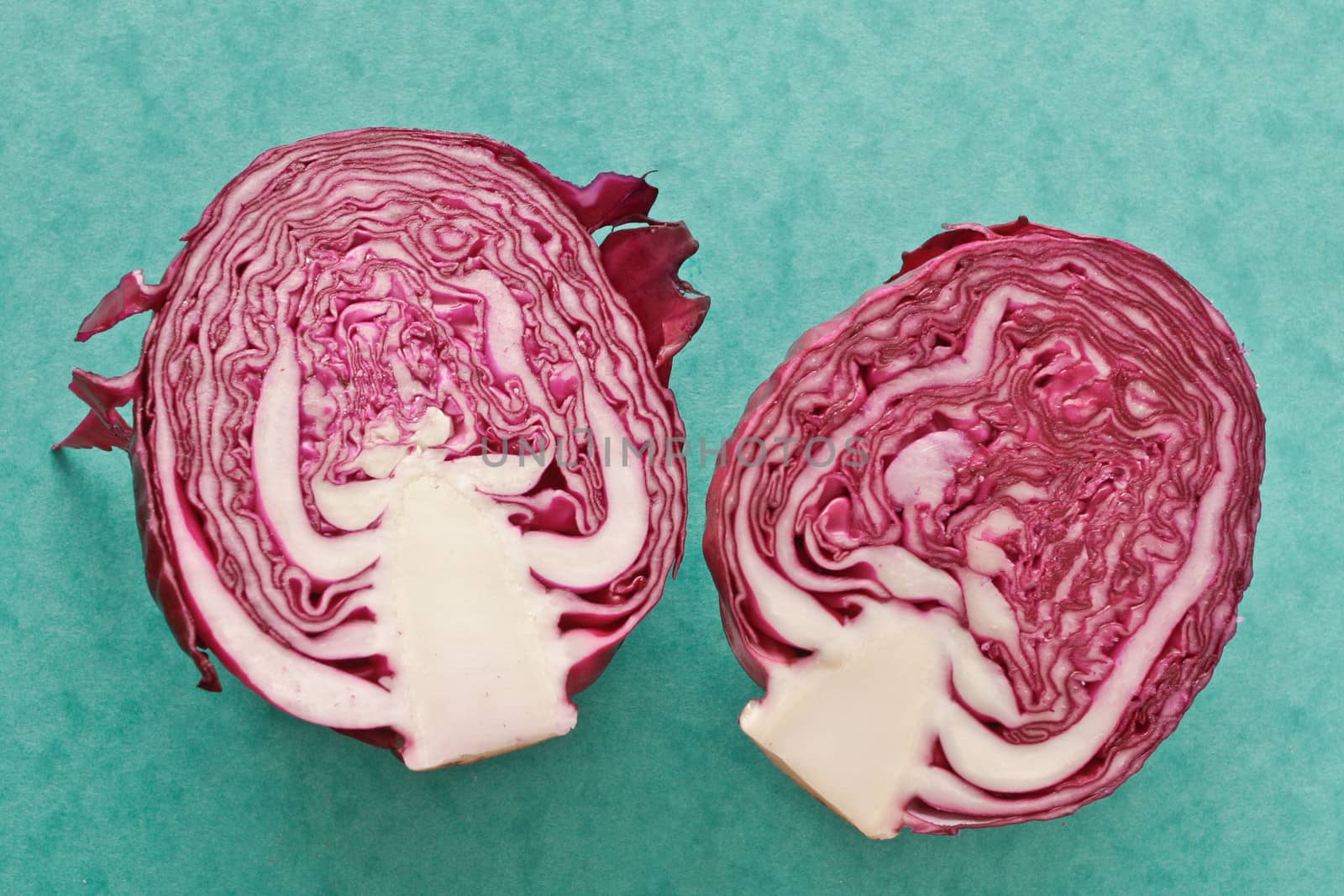 Slices of red cabbage  on a green background