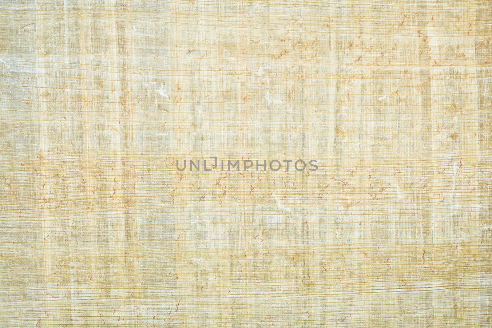 Papyrus by trgowanlock