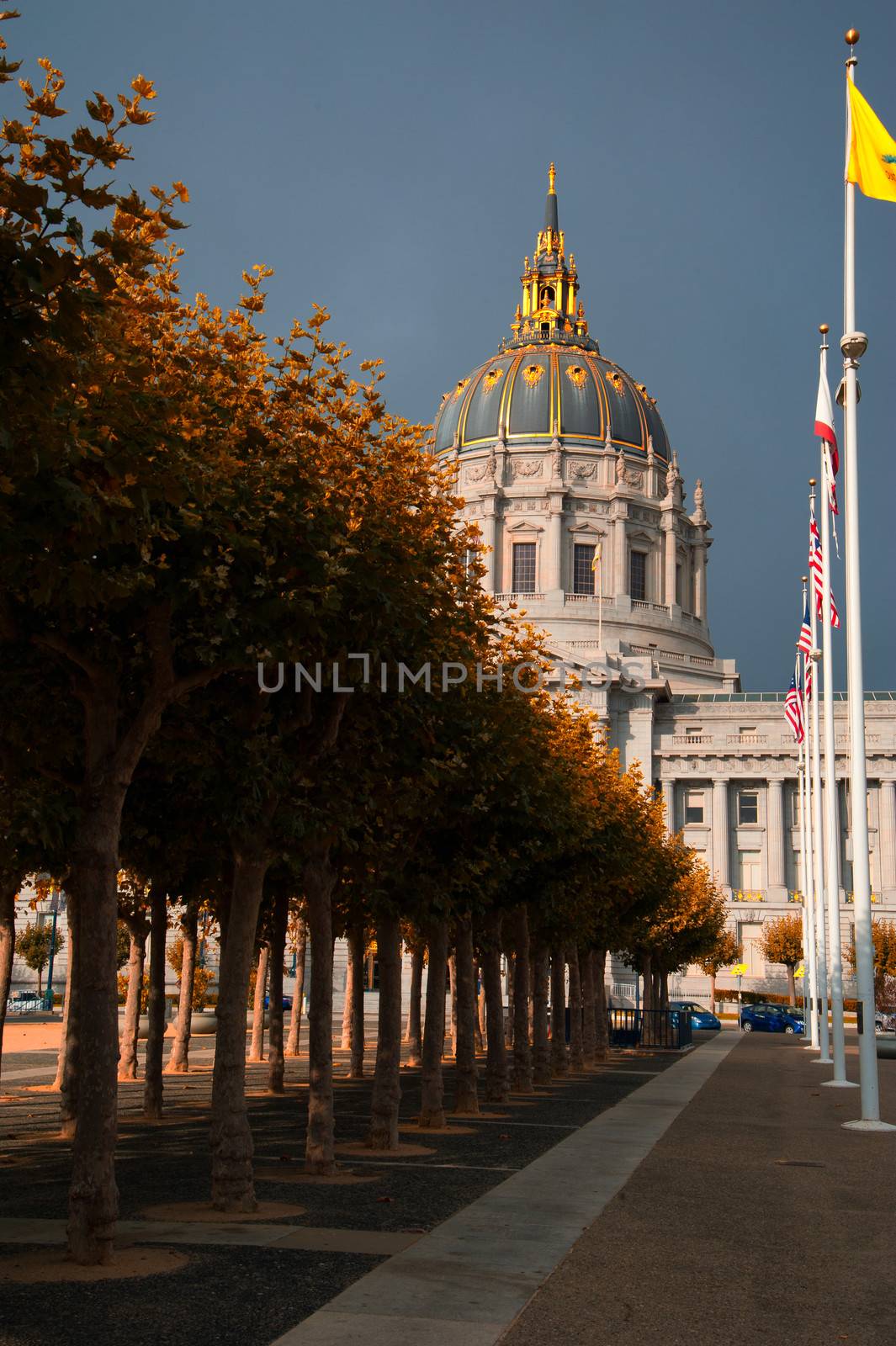 San Francisco City Hall by CelsoDiniz