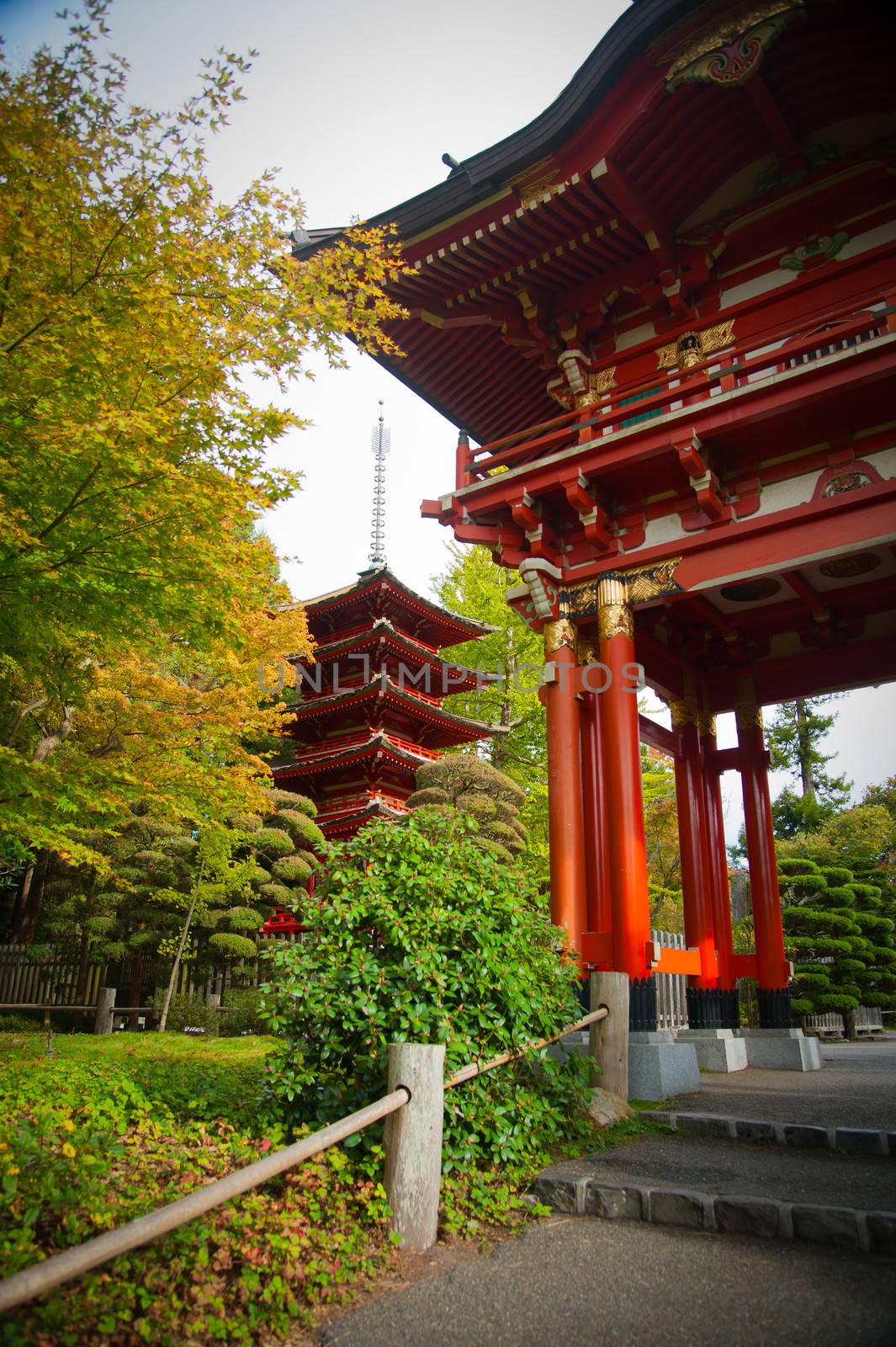 Japanese style gate in Japanese Tea Garden, San Francisco, California, USA
