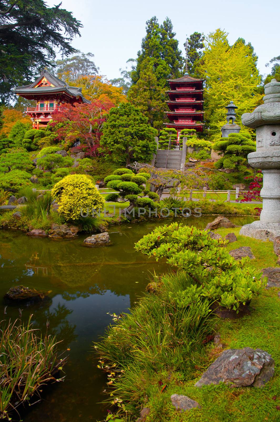 Pagodas in Japanese Tea Garden, San Francisco, California, USA