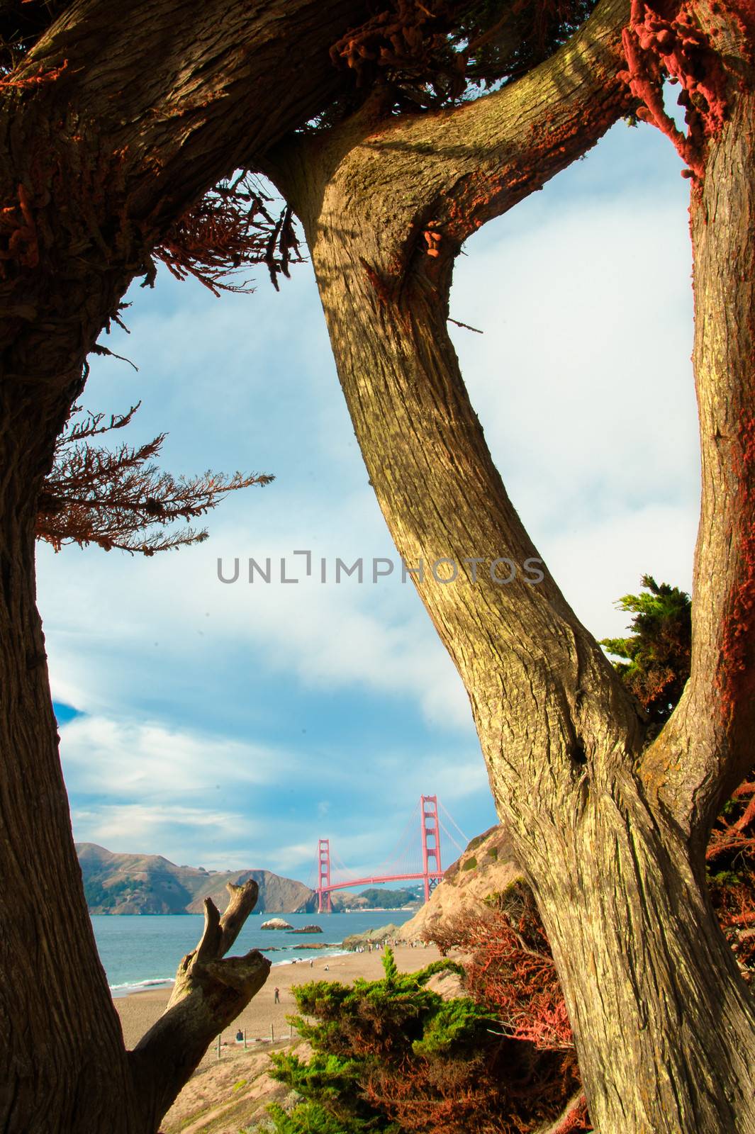 Golden Gate Bridge over a bay, San Francisco Bay, San Francisco, California, USA