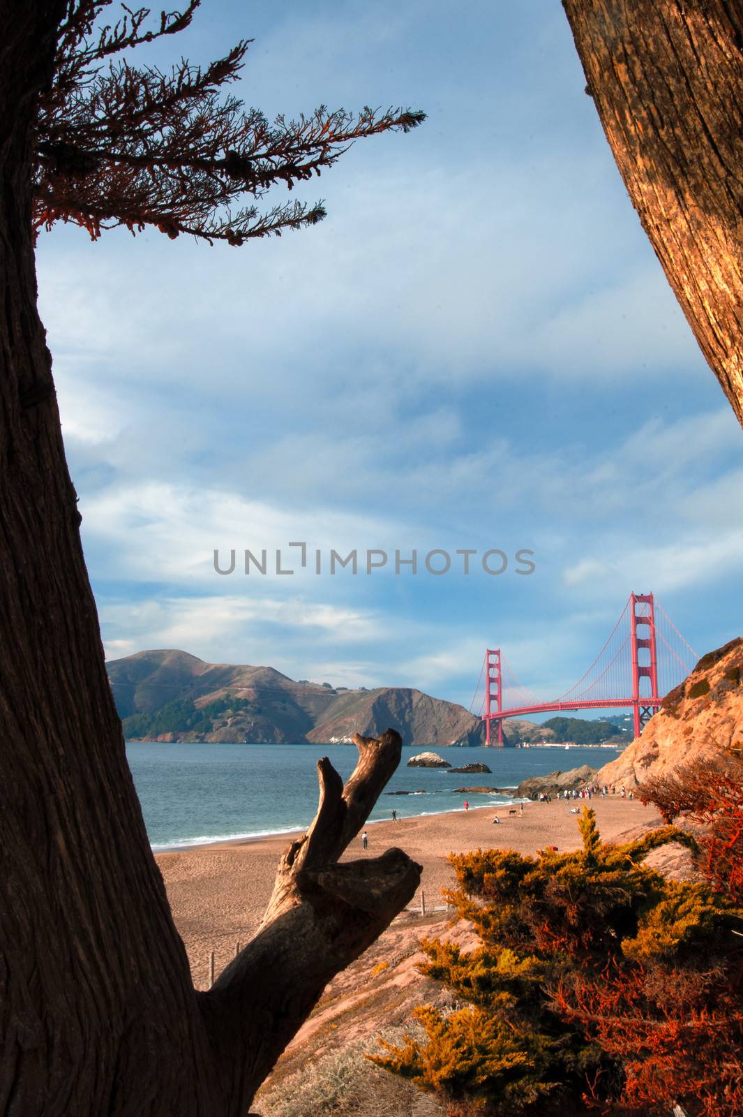 Golden gate Bridge over a bay, San Francisco Bay, San Francisco, California, USA
