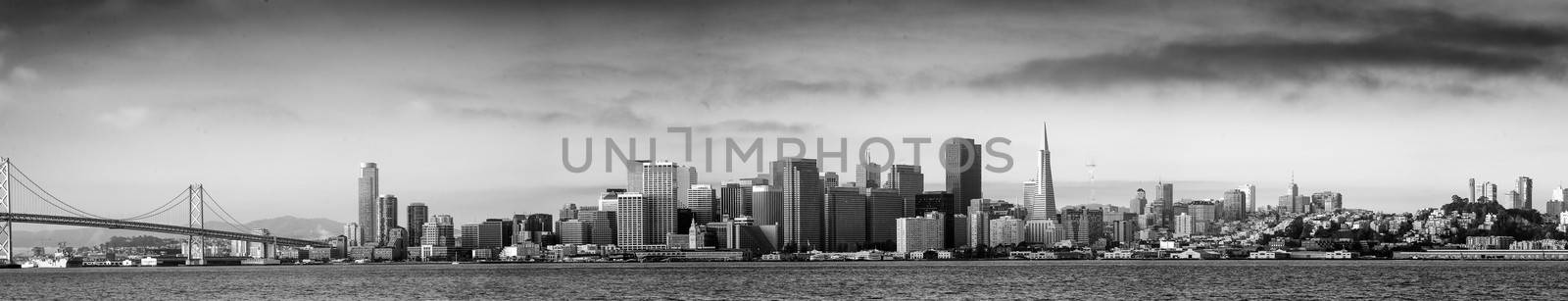 San Francisco skylines, San Francisco, California, USA