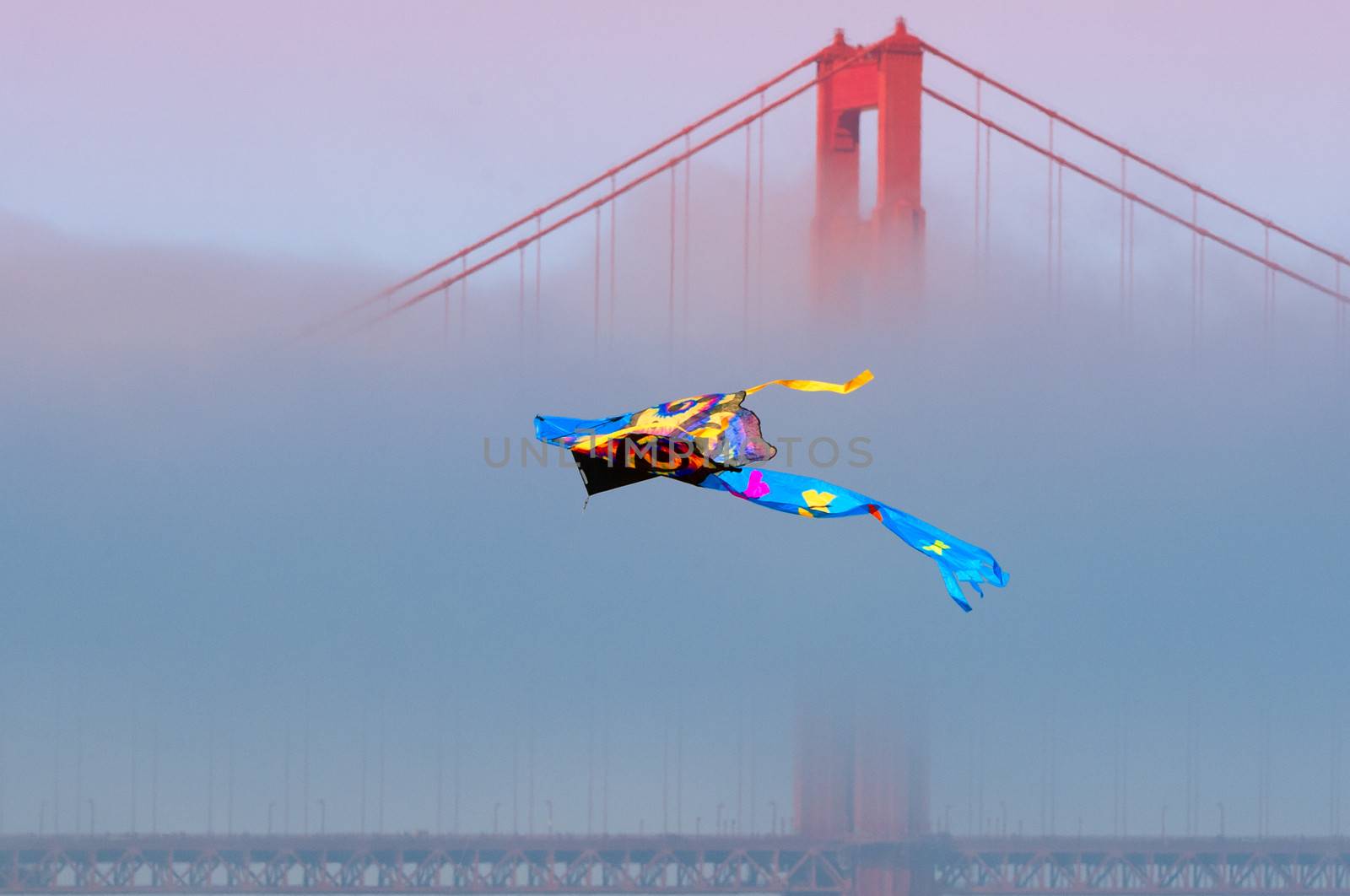 Kite flying in front of the Golden Gate Bridge, San Francisco Bay, San Francisco, California, USA
