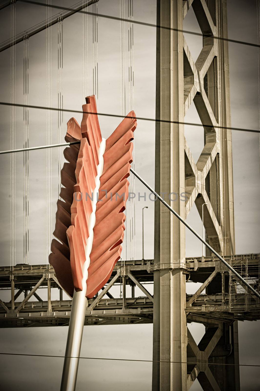 Cupids Arrow and Golden Gate Bridge by CelsoDiniz