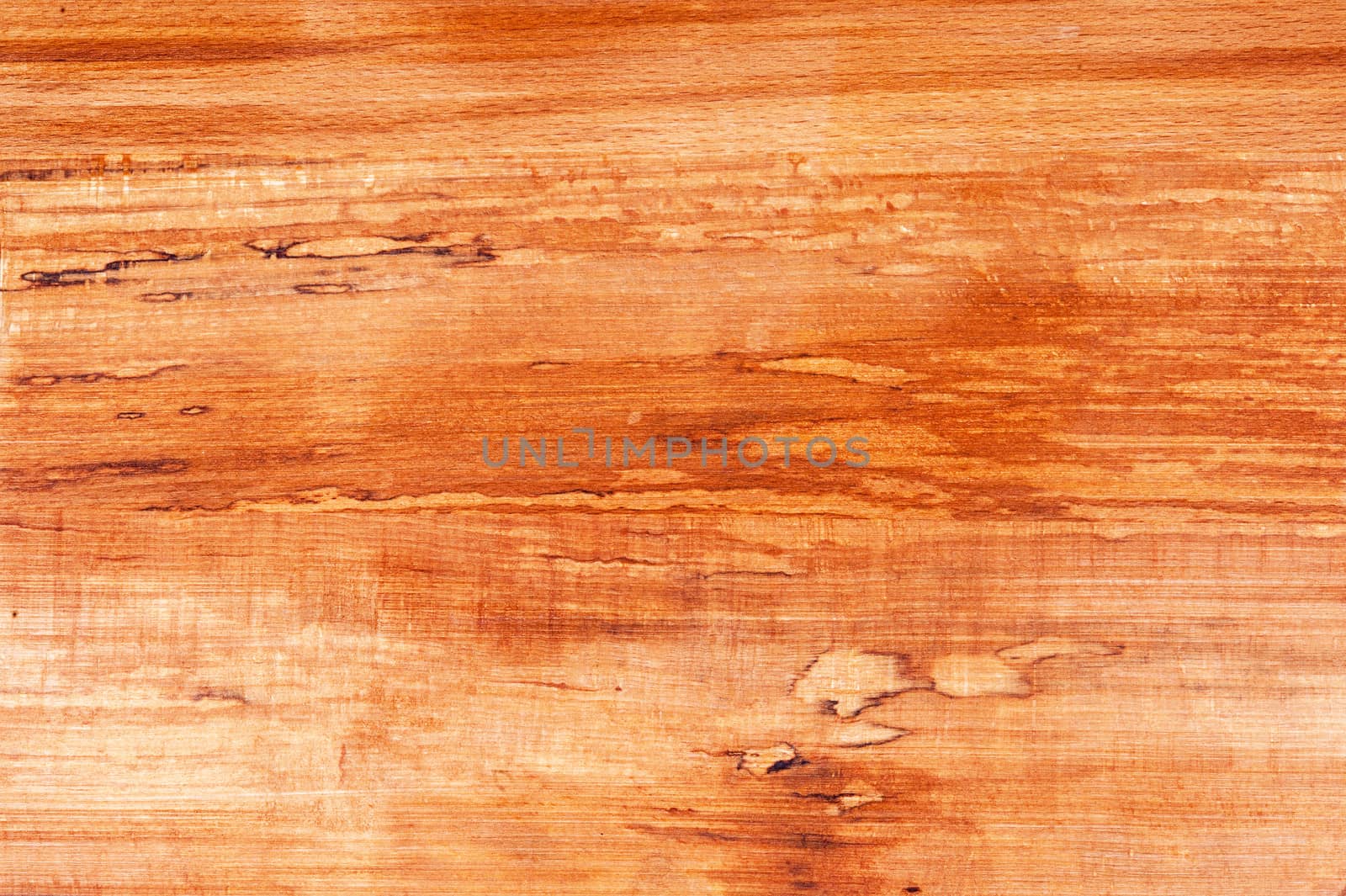 Knotty textured dark wood background, closeup