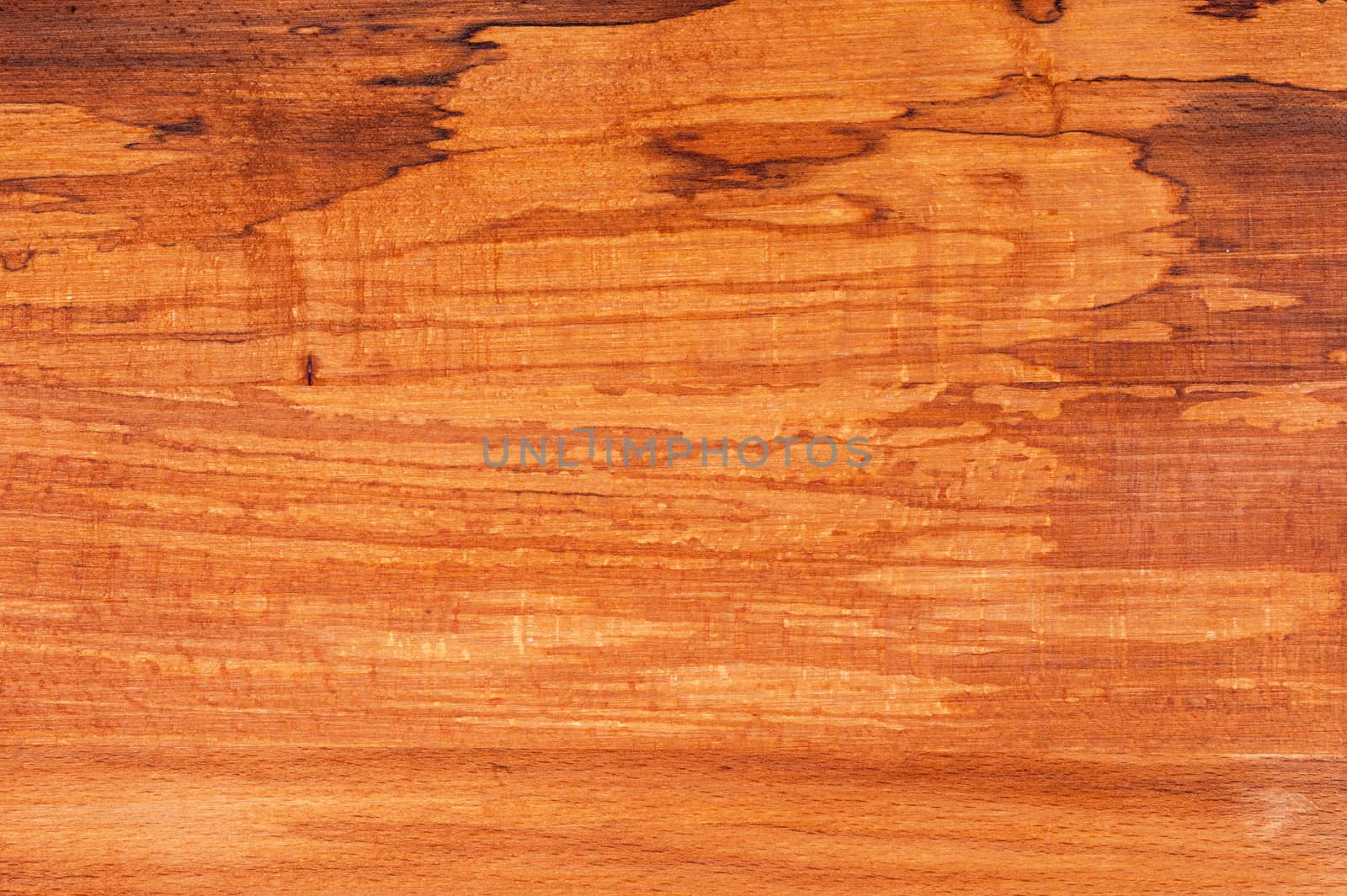 Knotty textured dark wood background, closeup
