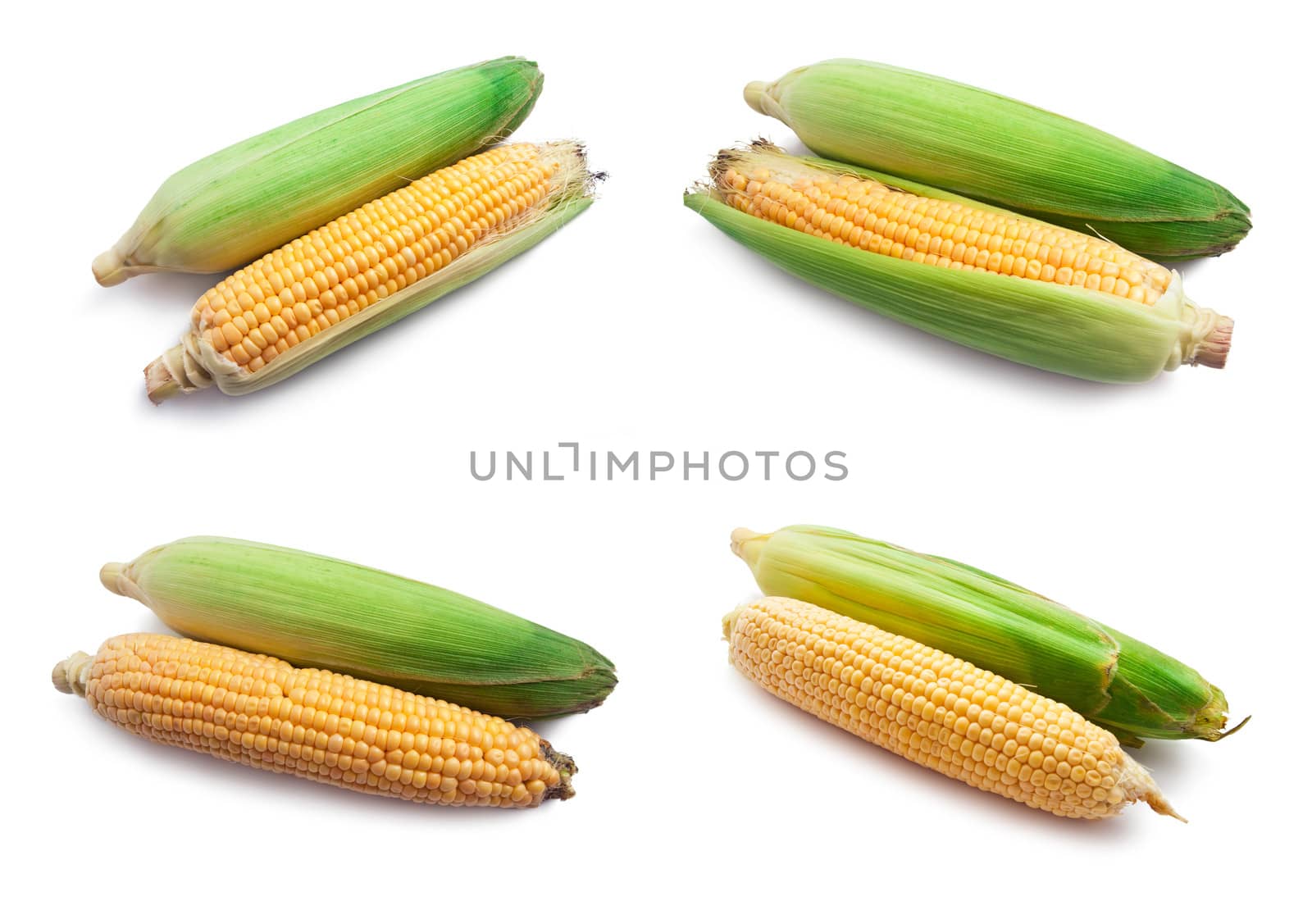 Fresh ripe corn isolated on white background