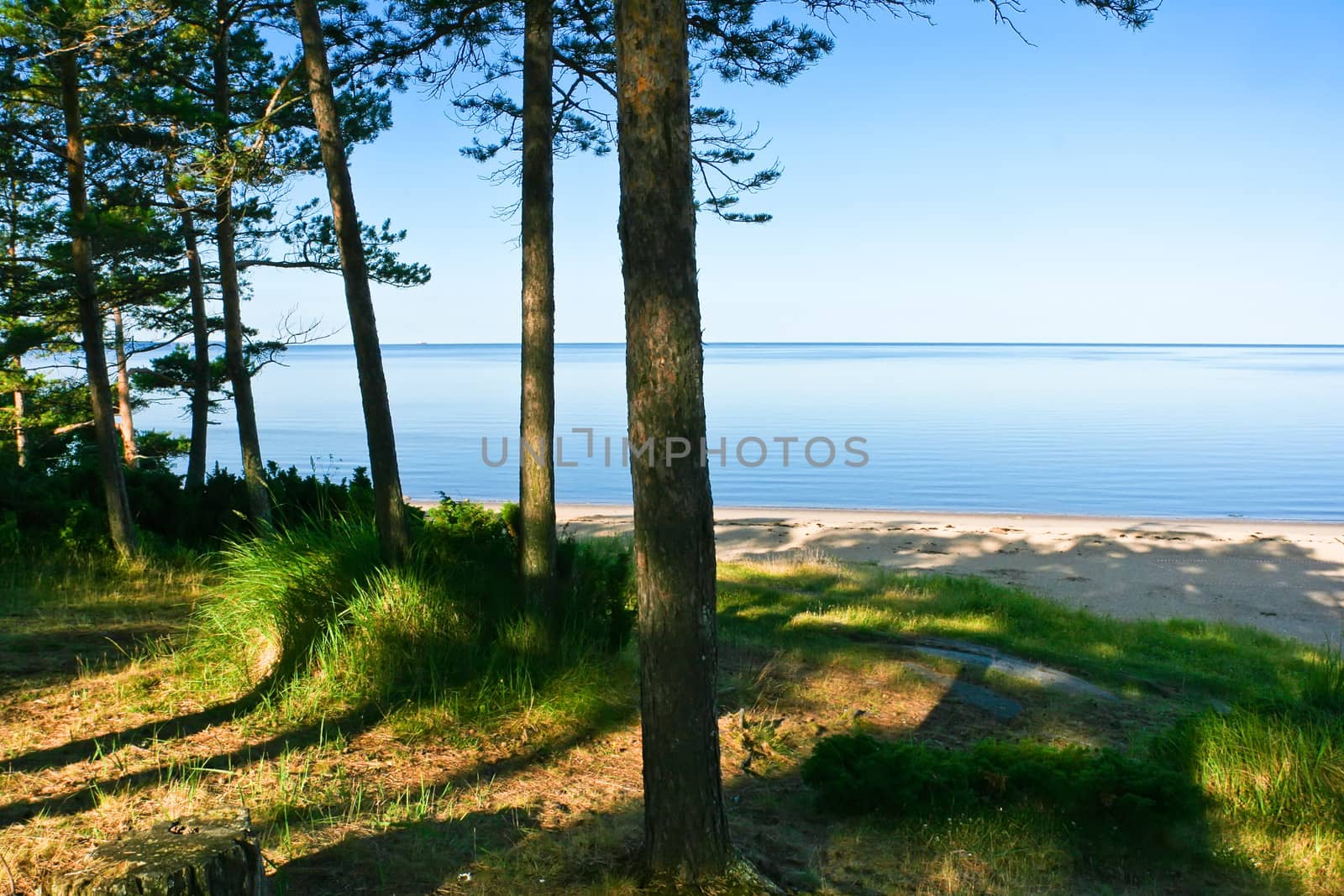 Nice photo of sea coast in summer