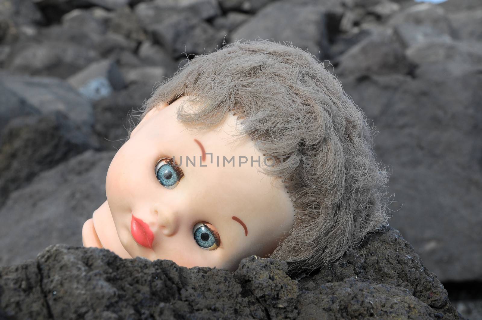 One Ancient Dool's Head Abandoned on the Rocks