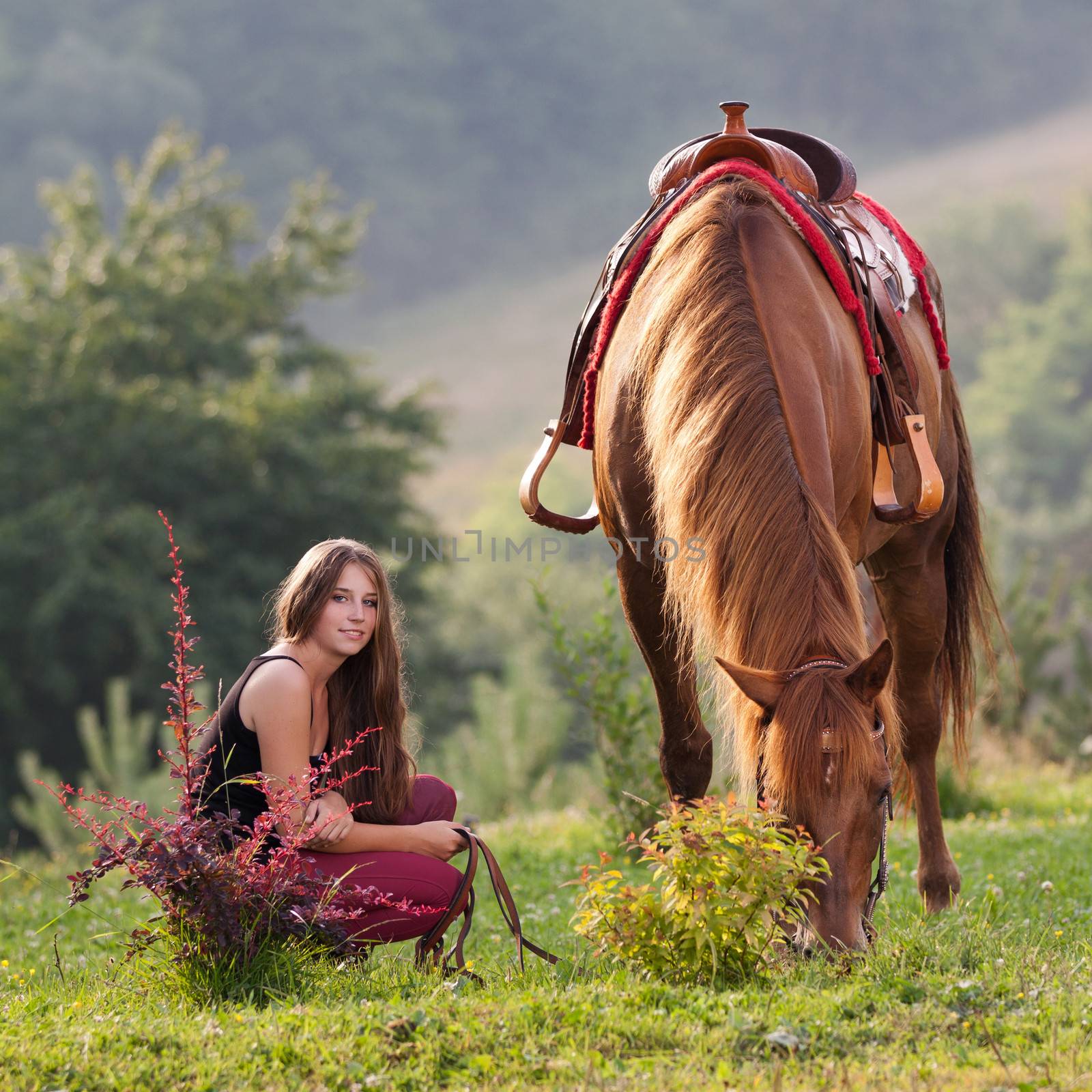 Young girl with long hair is squatting next horse breed Quarter Horse