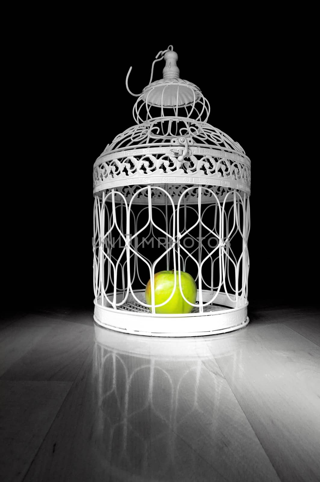 Apple in a cage and dark background by anderm