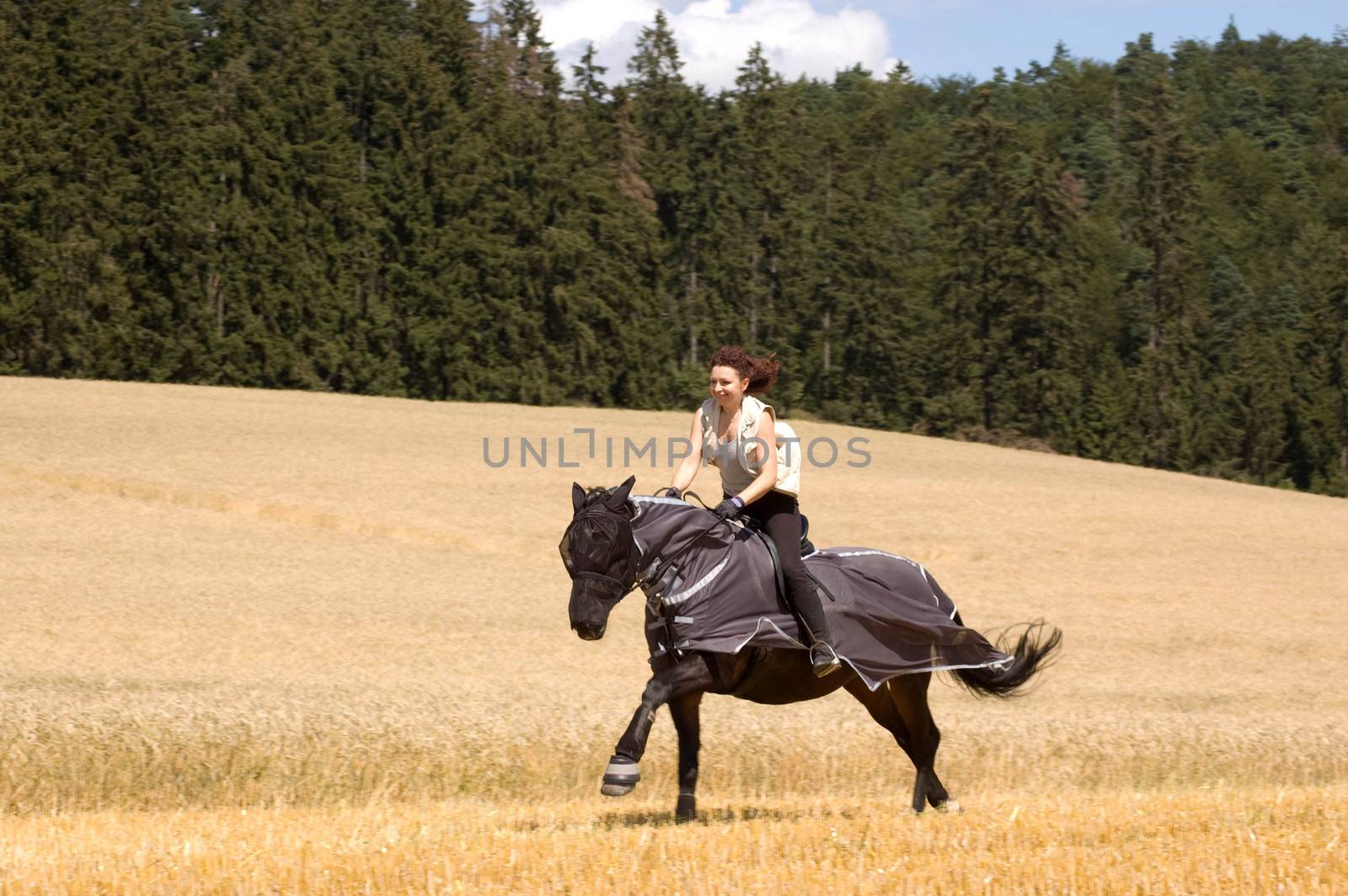 Horseback rides on the field. The horse is protected from insects with blanket-net.