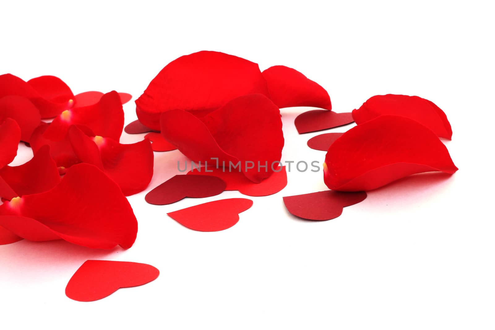 Rose petals and hearts isolated on white background