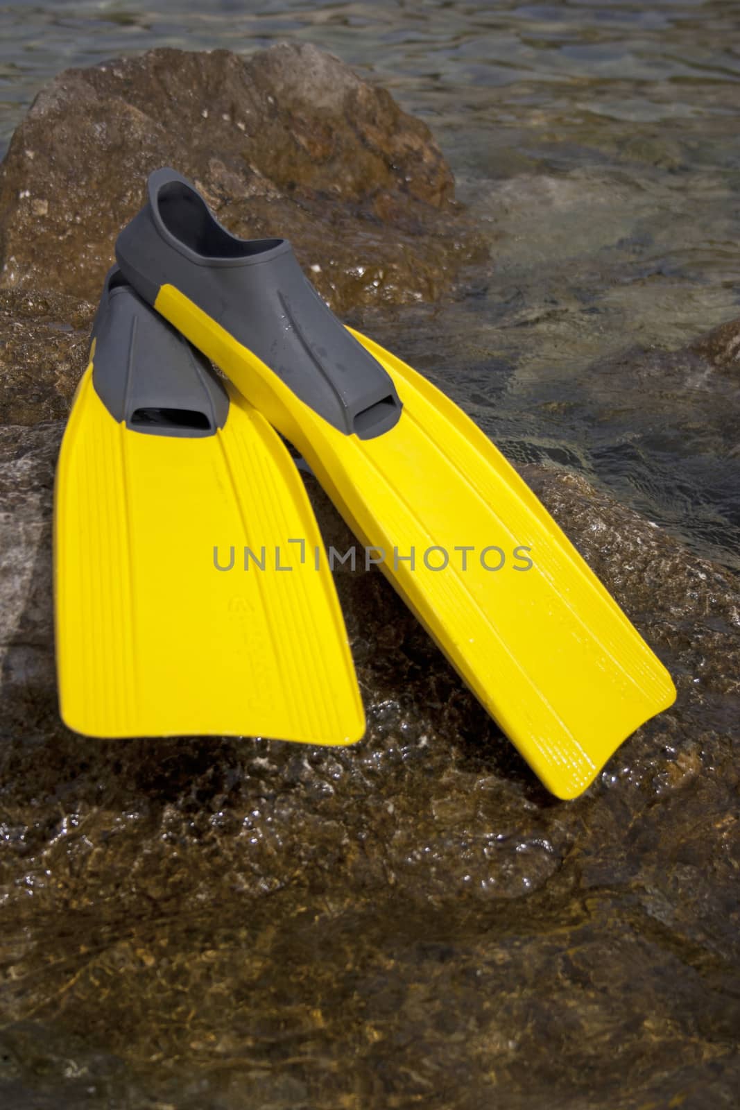 Two yellow flippers on the rock near the sea