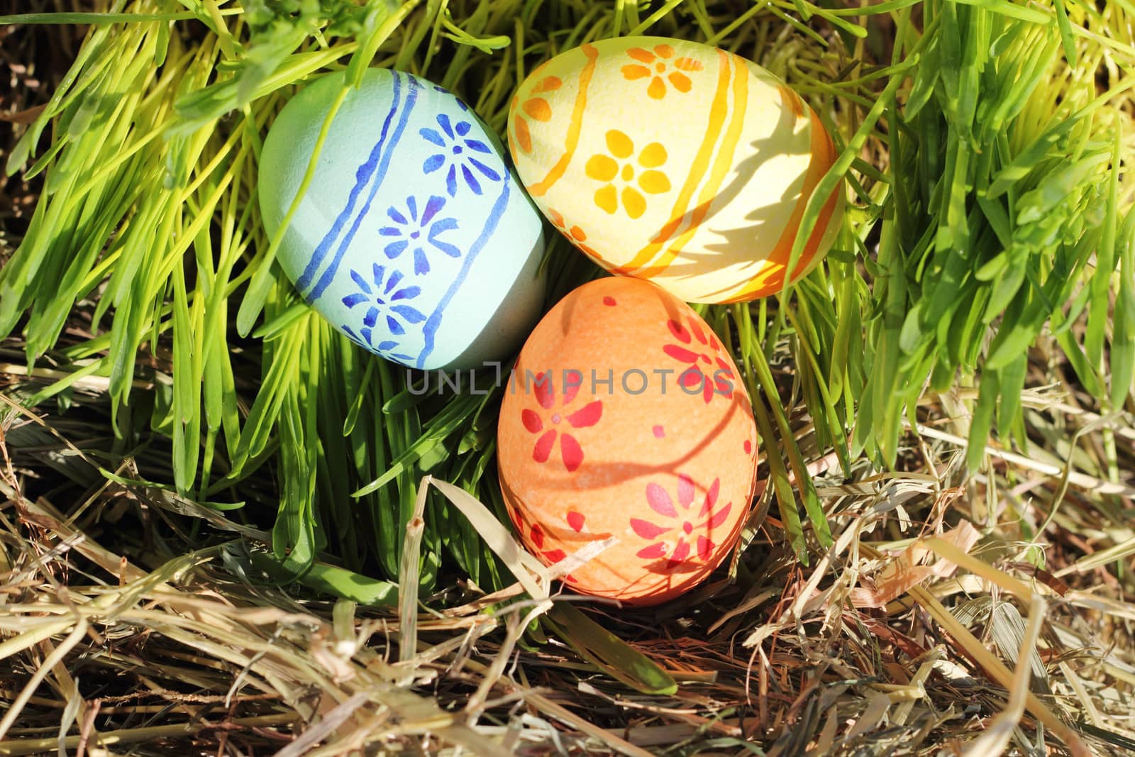 Three colored Easter eggs on hay and green grass renovation concept