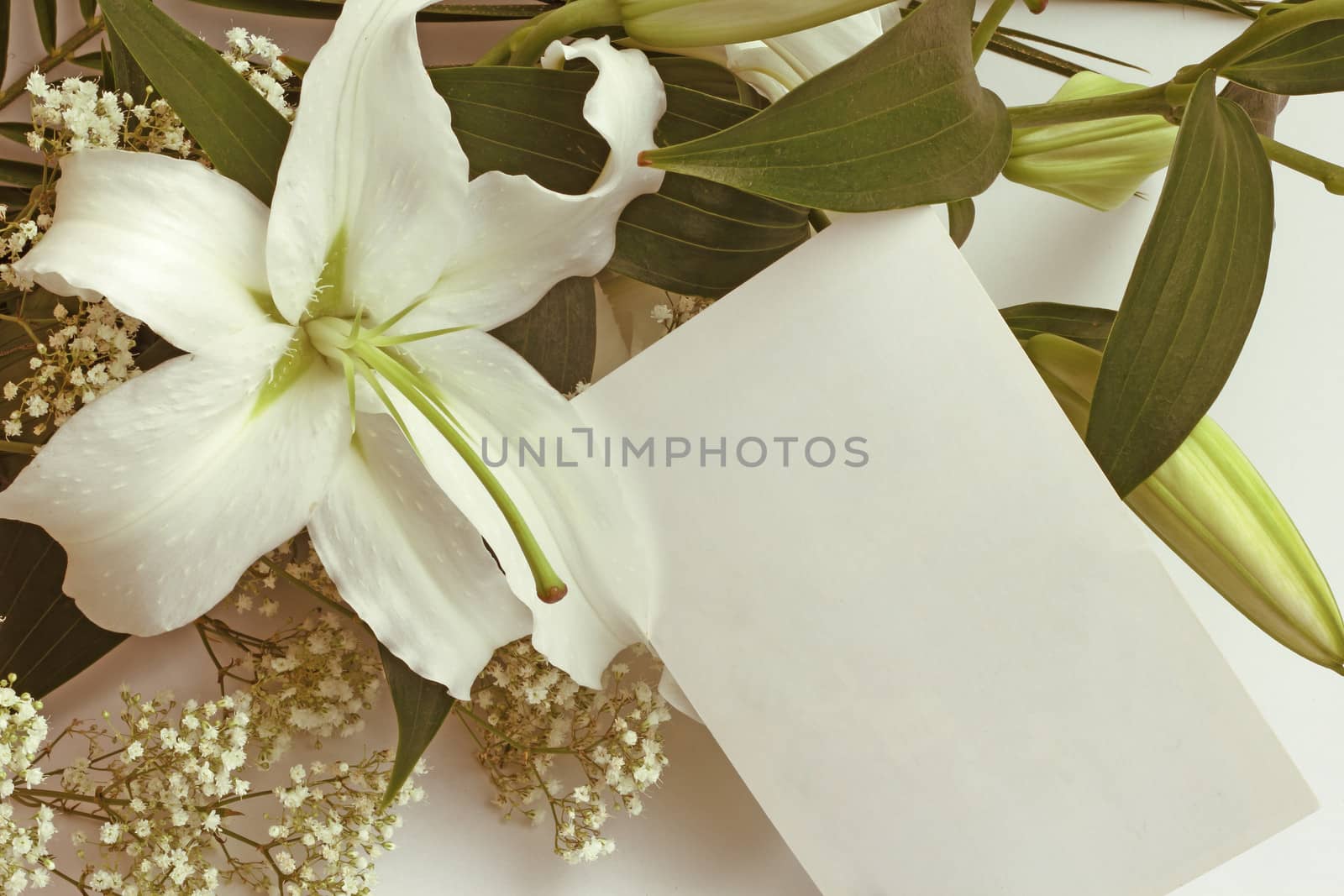 White lily flowers and post card over white background