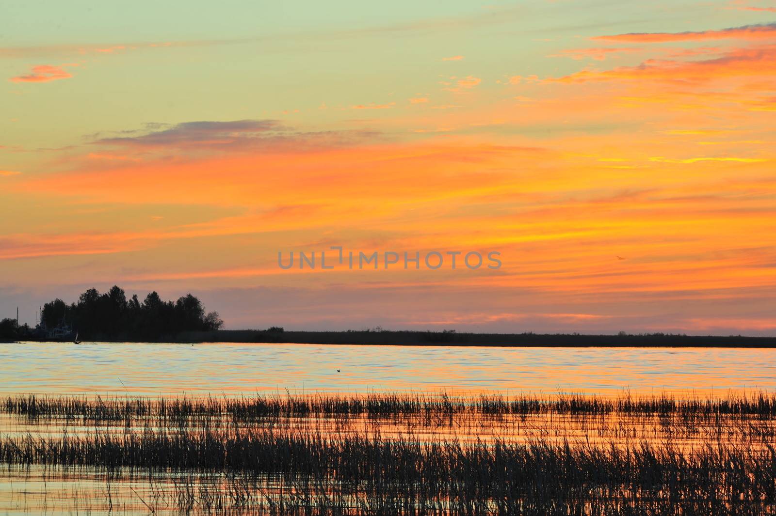 Sunset on a lake. Beautiful summer sunset on the lake 