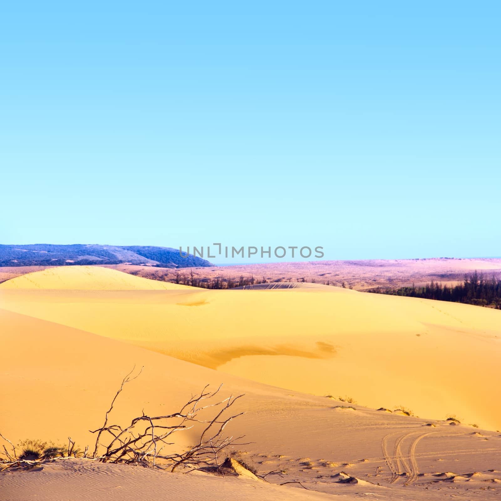 Sand desert by destillat