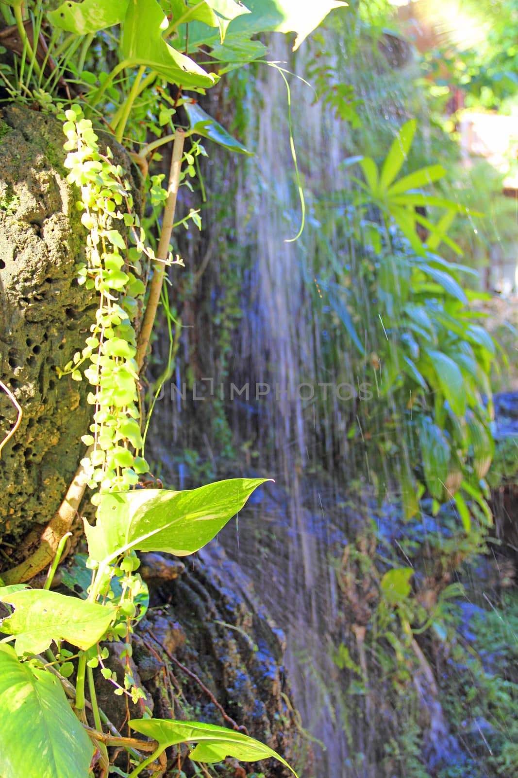 Beautiful waterfall  in tropical forest close-up