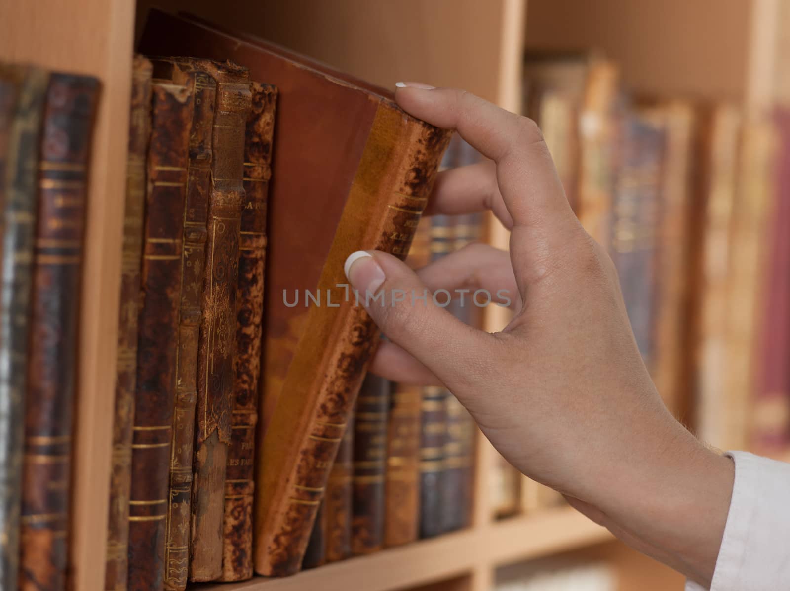 woman hand holding old book library close up