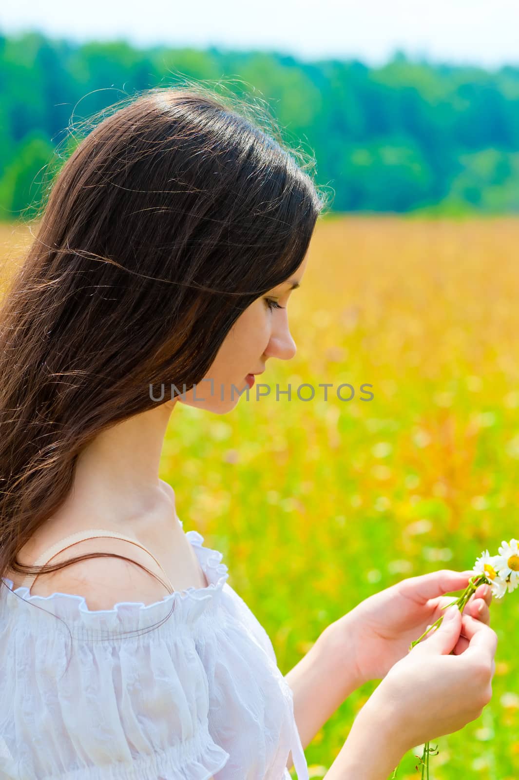 portrait of a young brunette in a field of daisies by kosmsos111
