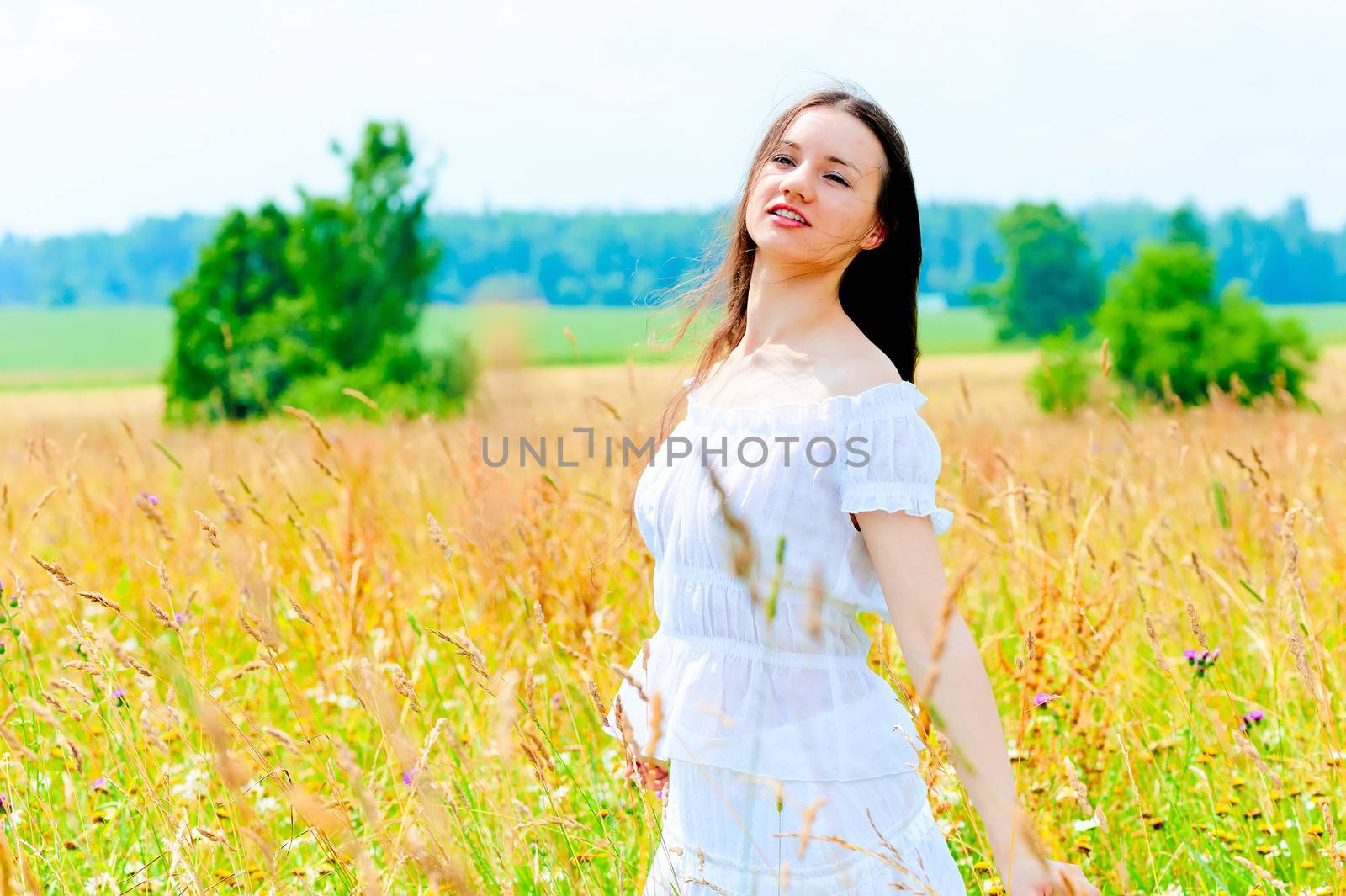 Beauty in a flower field in summer by kosmsos111