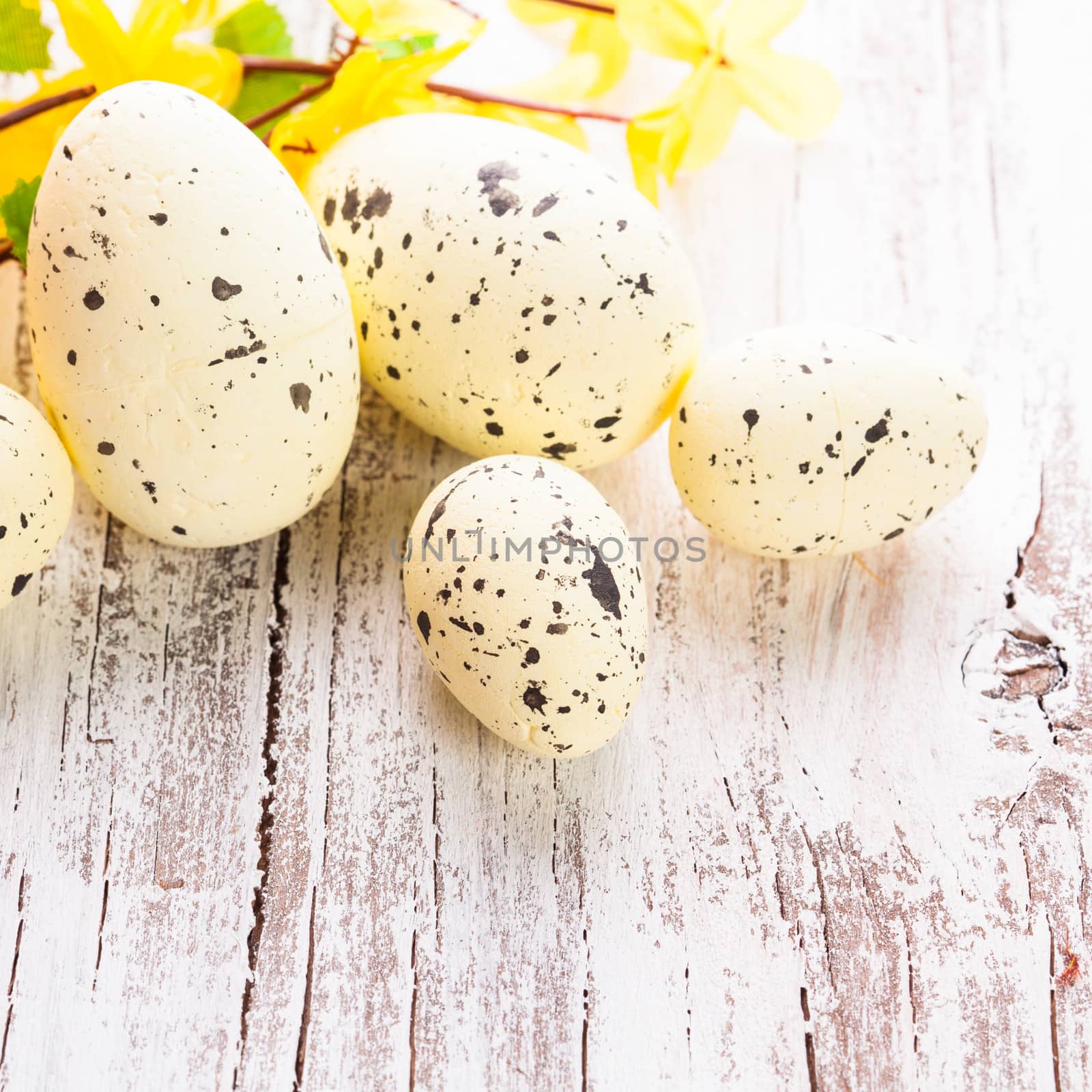 Yellow spotted eggs with forsythia flowers on the shabby wooden table
