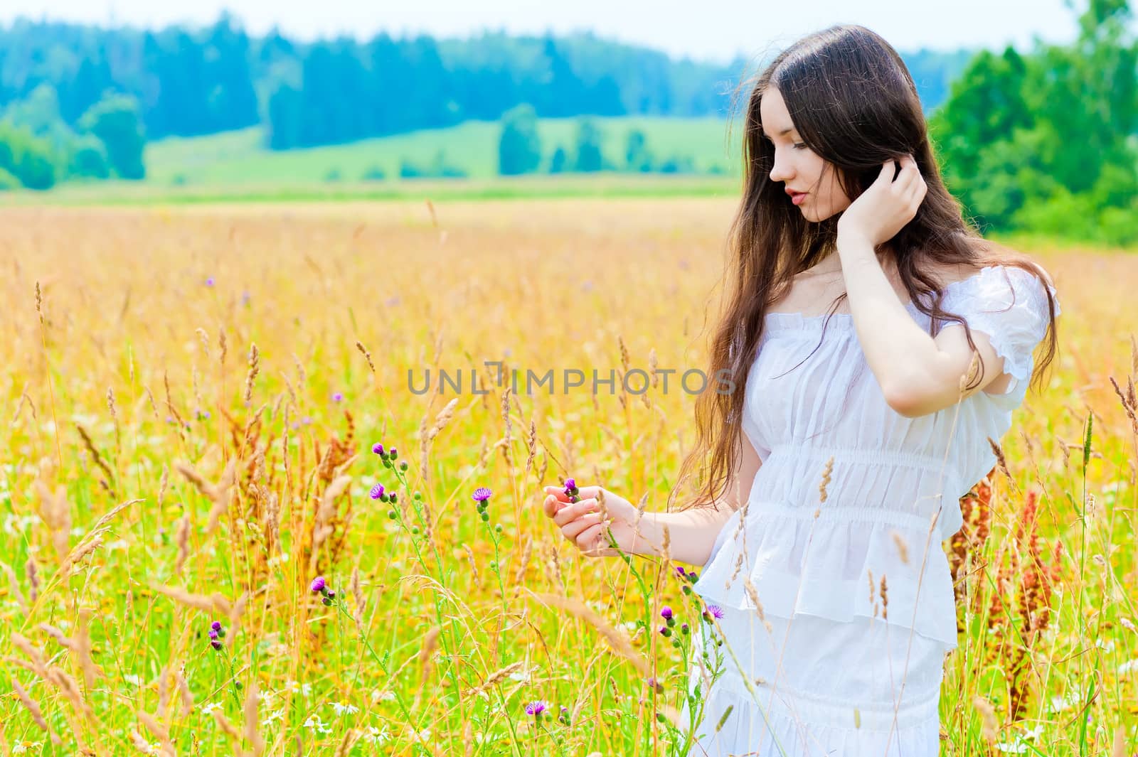portrait of a beautiful young brunette in a field by kosmsos111
