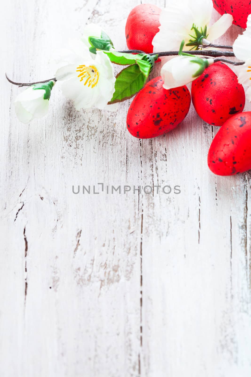 Red spotted eggs with apple flowers on the shabby wooden table