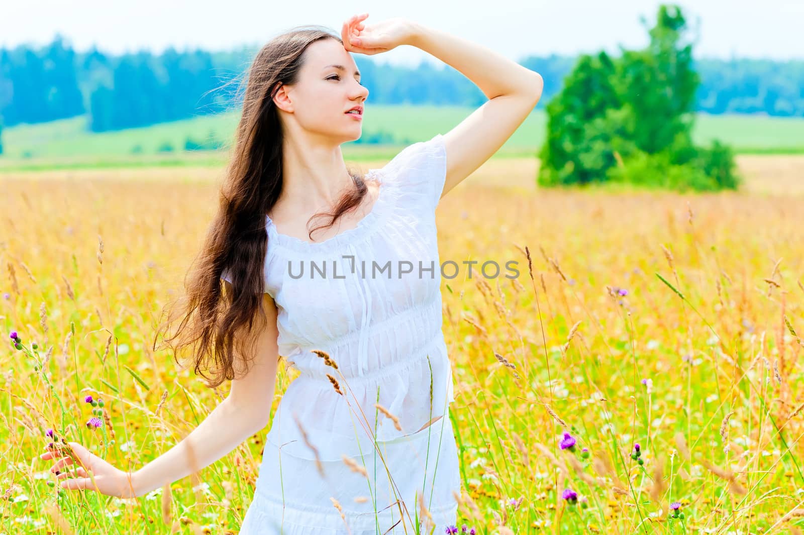 slender beautiful girl in flower field