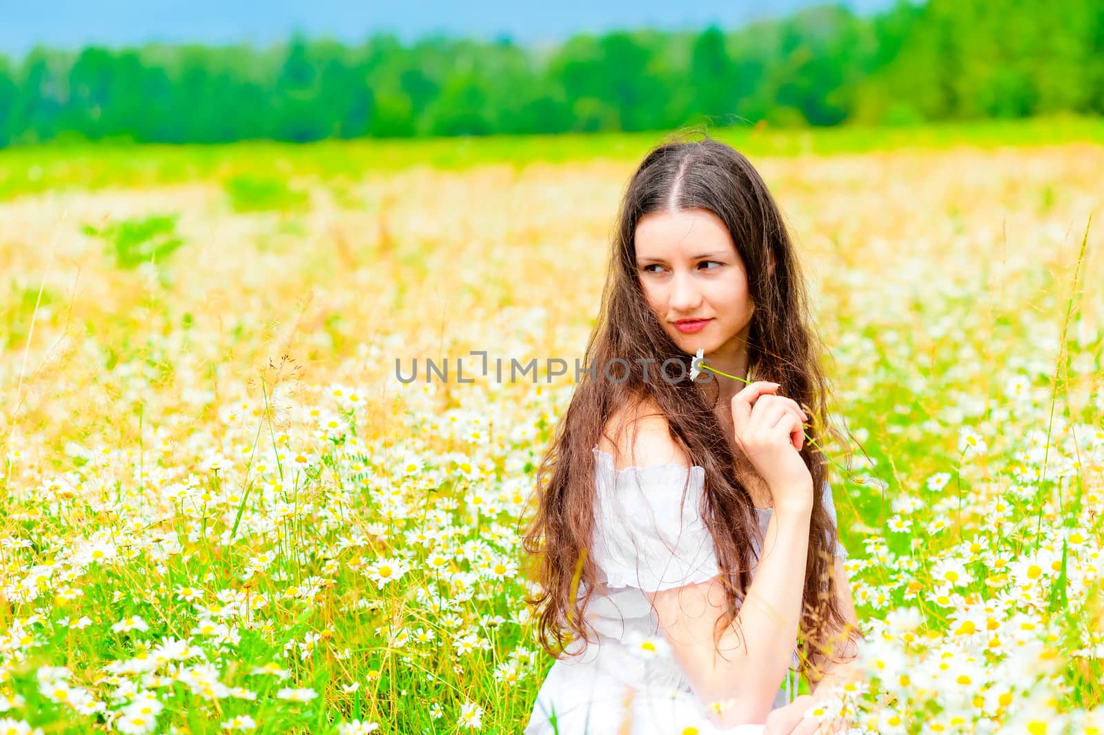 Attractive girl sitting in a field of daisies and looking away