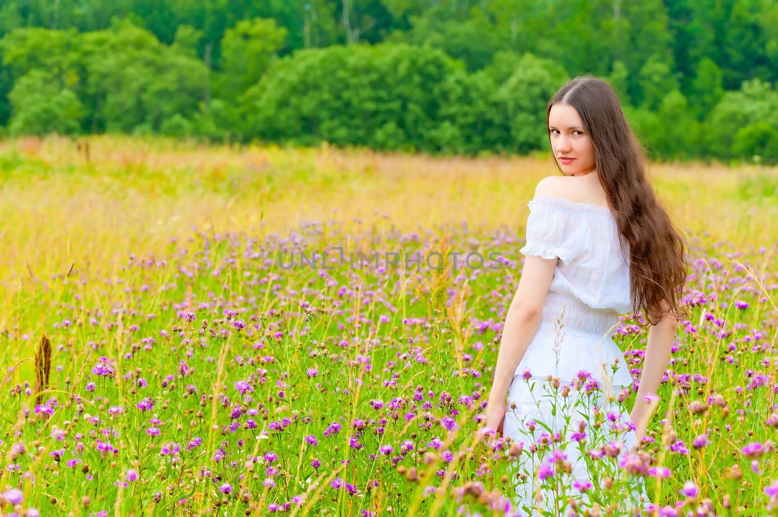 portrait of a beautiful brunette in a field of purple flowers