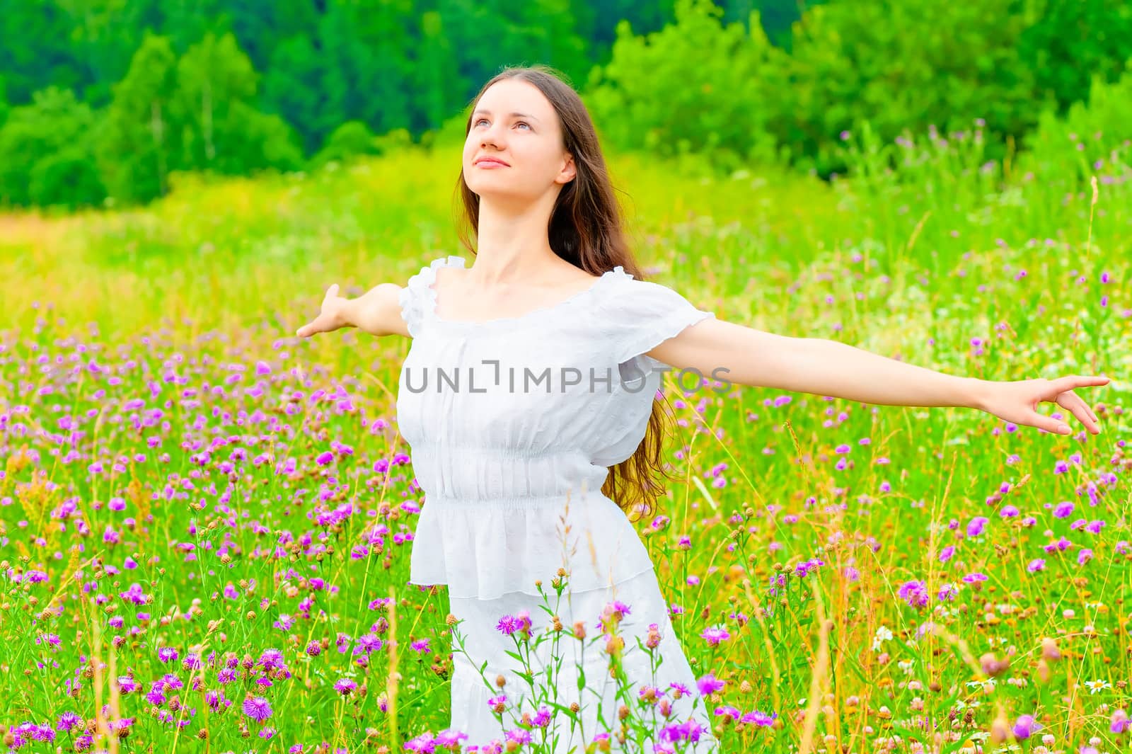 Free Russian young girl in a field with flowers by kosmsos111