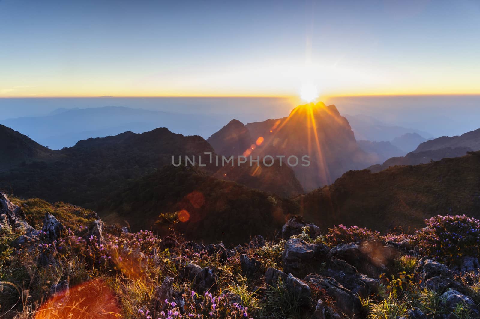 Beautiful lenses flare on optical properties of the ancient lens by ngungfoto