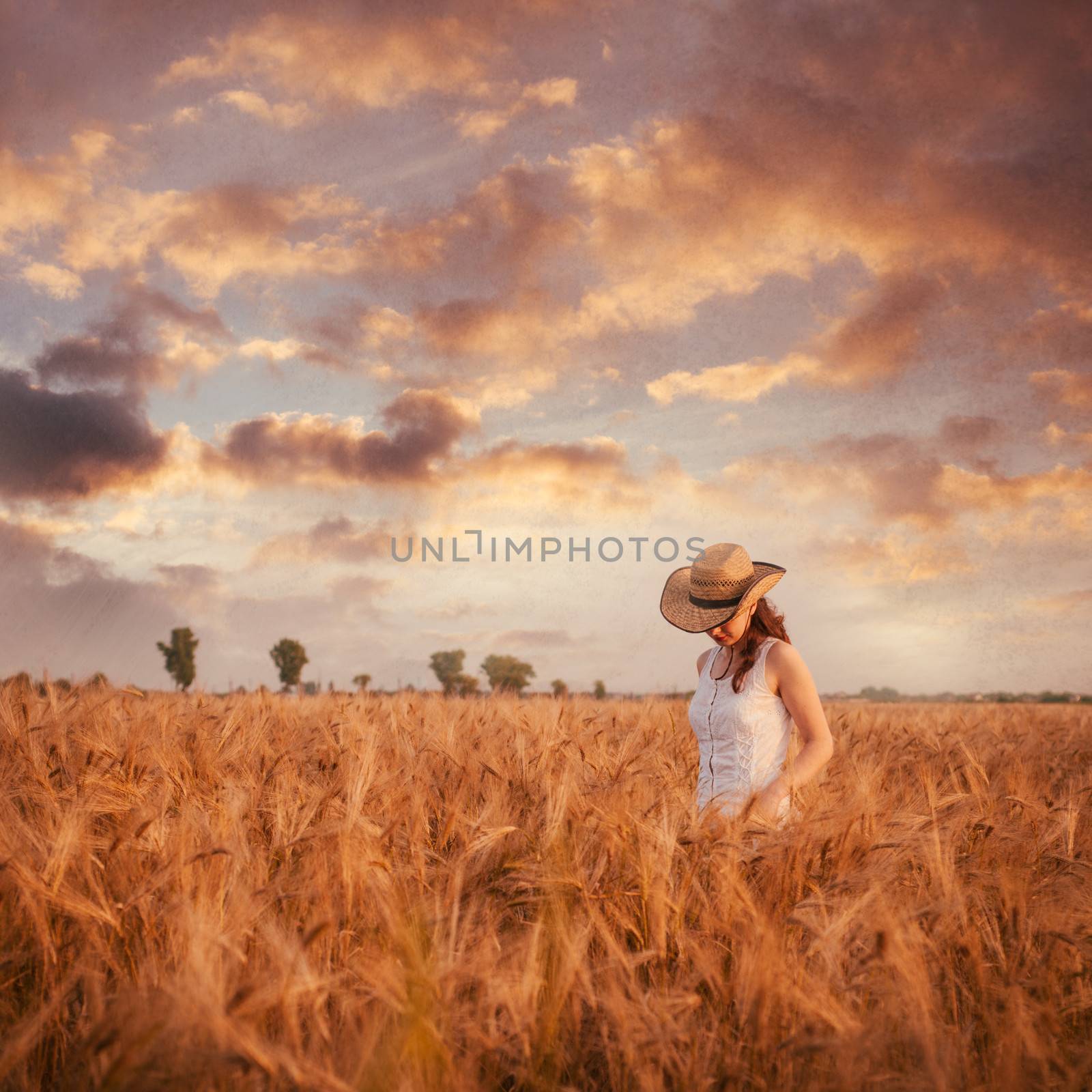 Woman in the wheat field, farmer with crop. Vintage toned