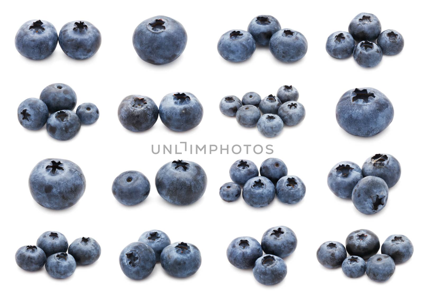 Collection of fresh blueberry or bilberry  isolated on white background