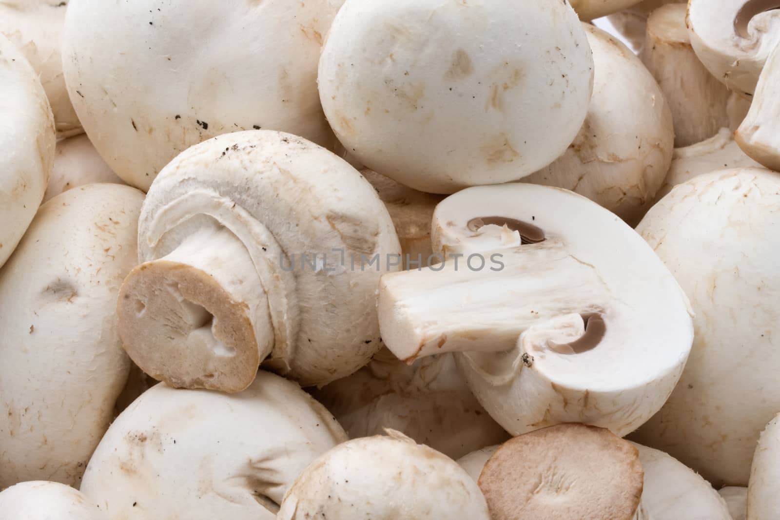 Champignon mushrooms making raw food pattern background