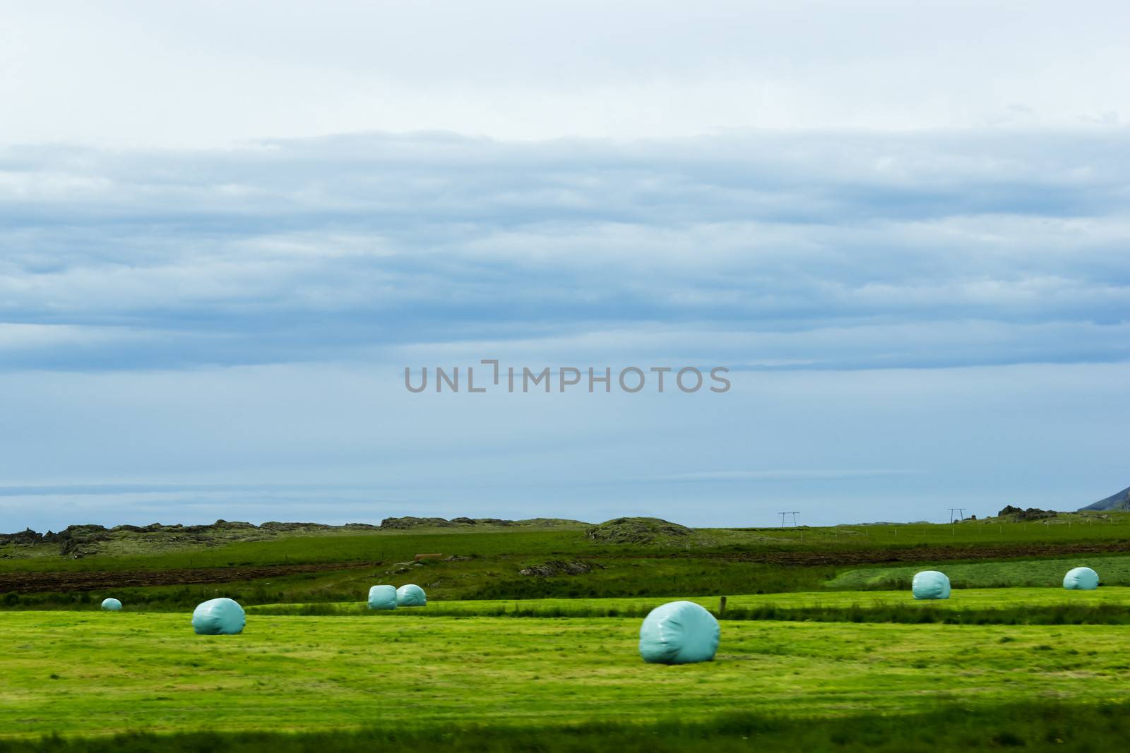 Icelandic Rural Landscape. Hay bales in white plastic on the mea by Tetyana
