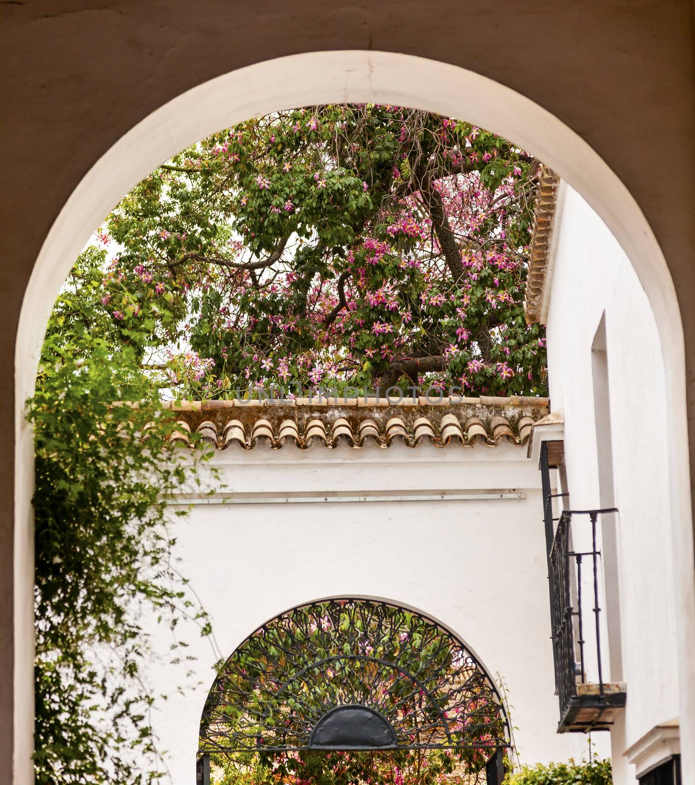 White Horseshoe Arches Pink Flowers Garden Ambassador Room Alcazar Royal Palace Seville Andalusia Spain.  Originally a Moorish Fort, oldest Royal Palace still in use in Europe. Built in the 1100s and rebuilt in the 1300s. 