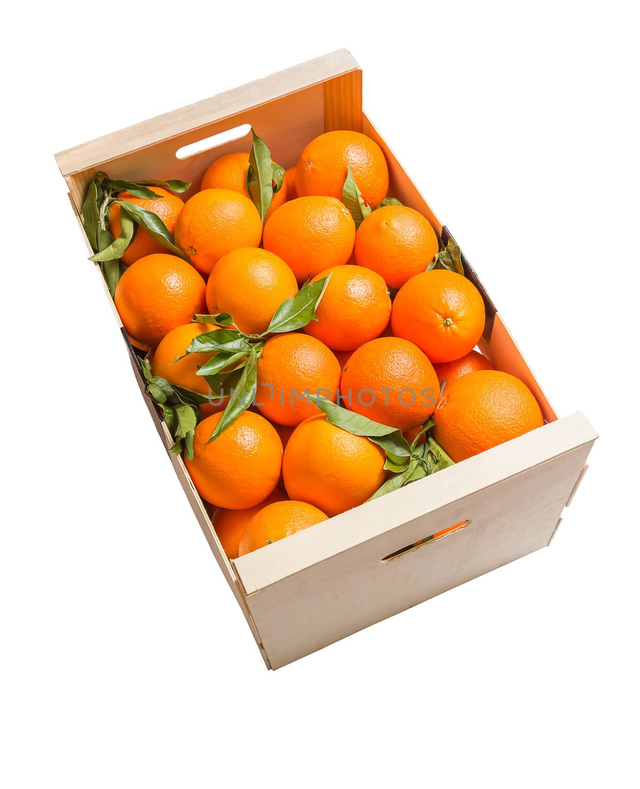 Wooden box of spanish oranges freshly collected on white background