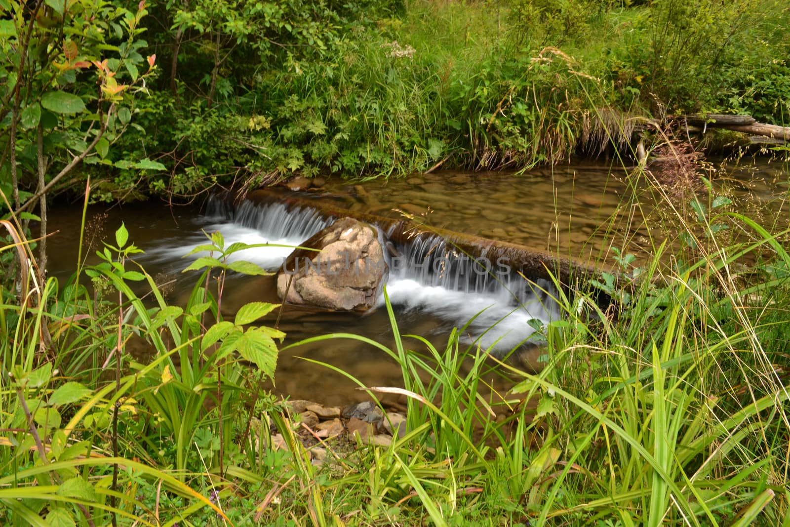 river flows quickly through the stone bottom