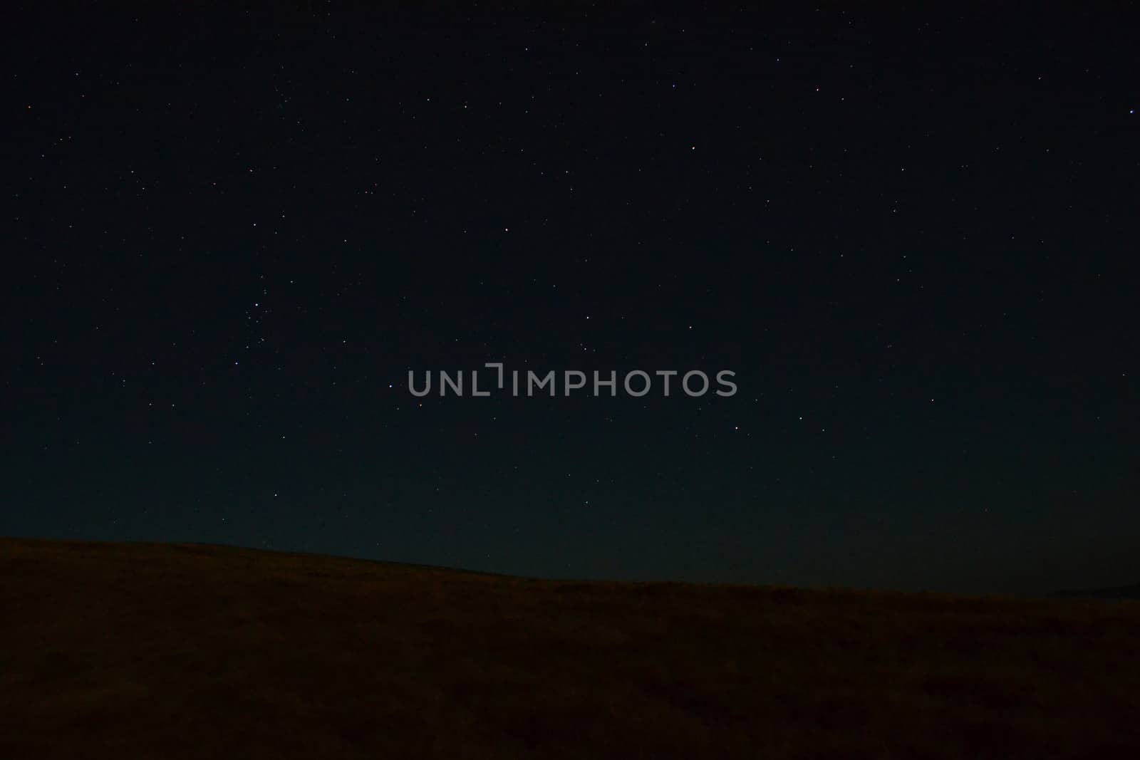 starry sky over the steppe