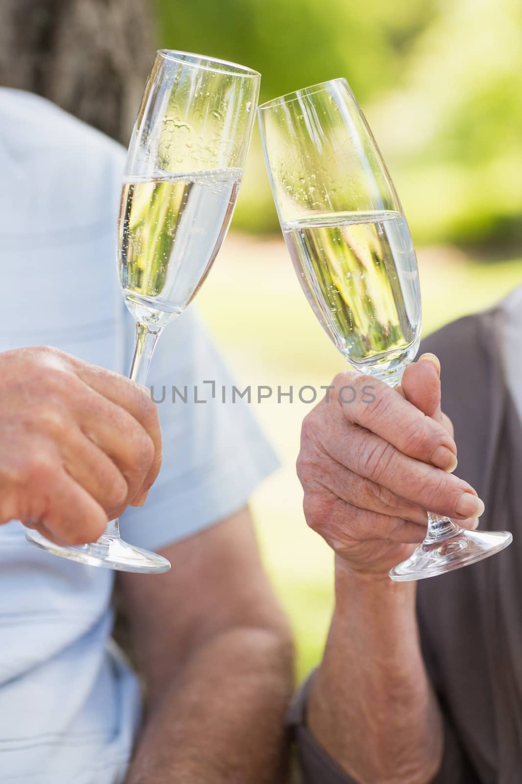 Closeup of hands toasting champagne flutes at the park