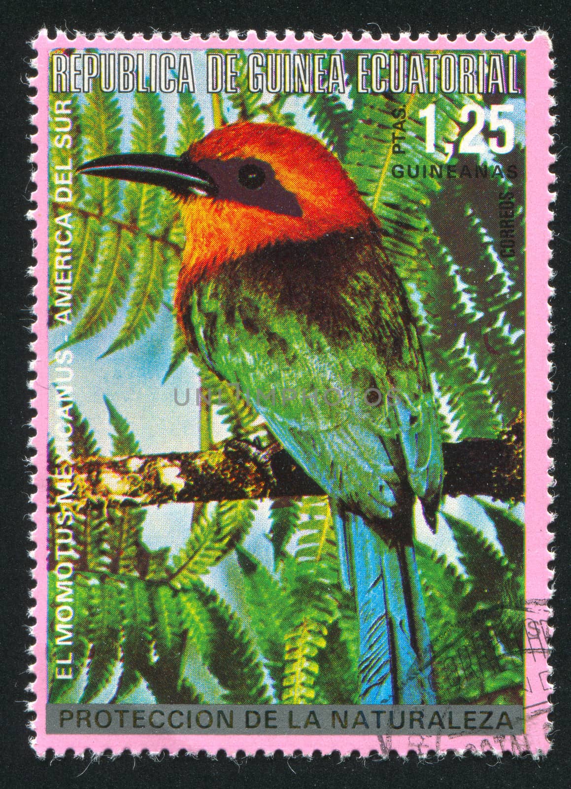 EQUATORIAL GUINEA - CIRCA 1980:  stamp printed by Equatorial Guinea, shows tropical bird, circa 1980.