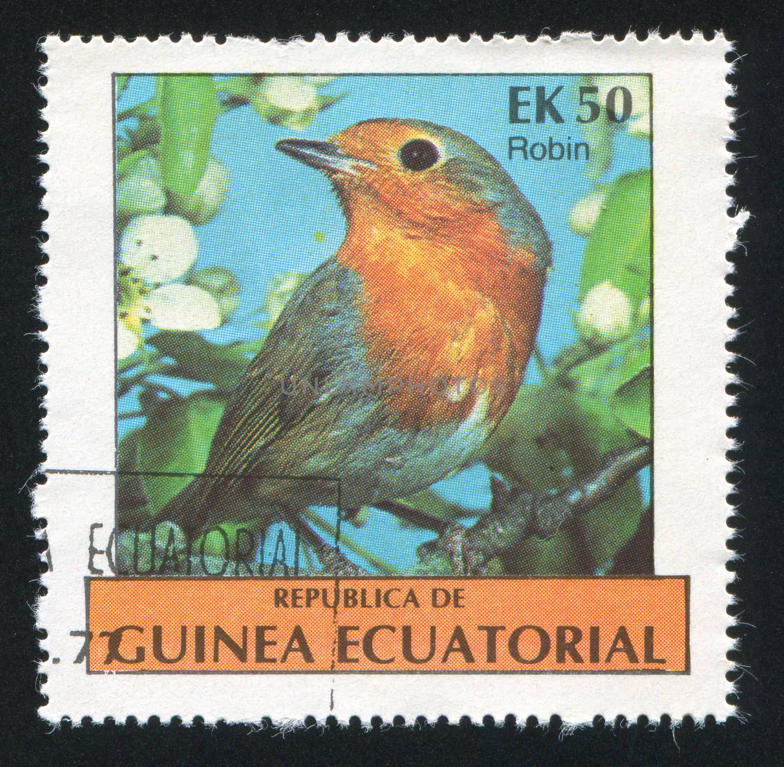EQUATORIAL GUINEA - CIRCA 1977:  stamp printed by Equatorial Guinea, shows tropical bird, circa 1977.