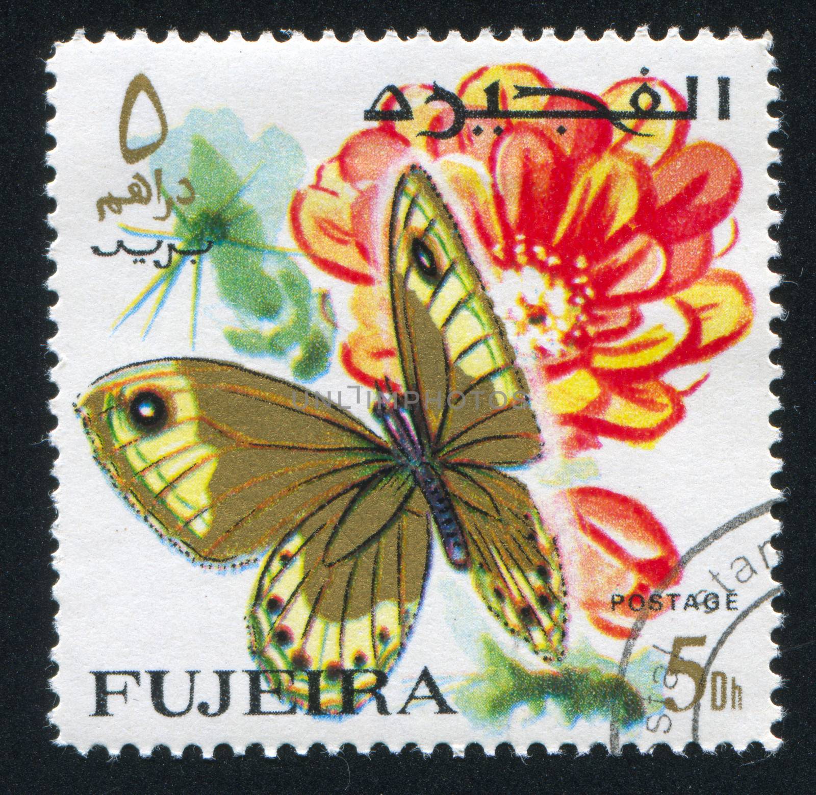 FUJEIRA - CIRCA 1972: stamp printed by Fujeira, shows butterfly, circa 1972
