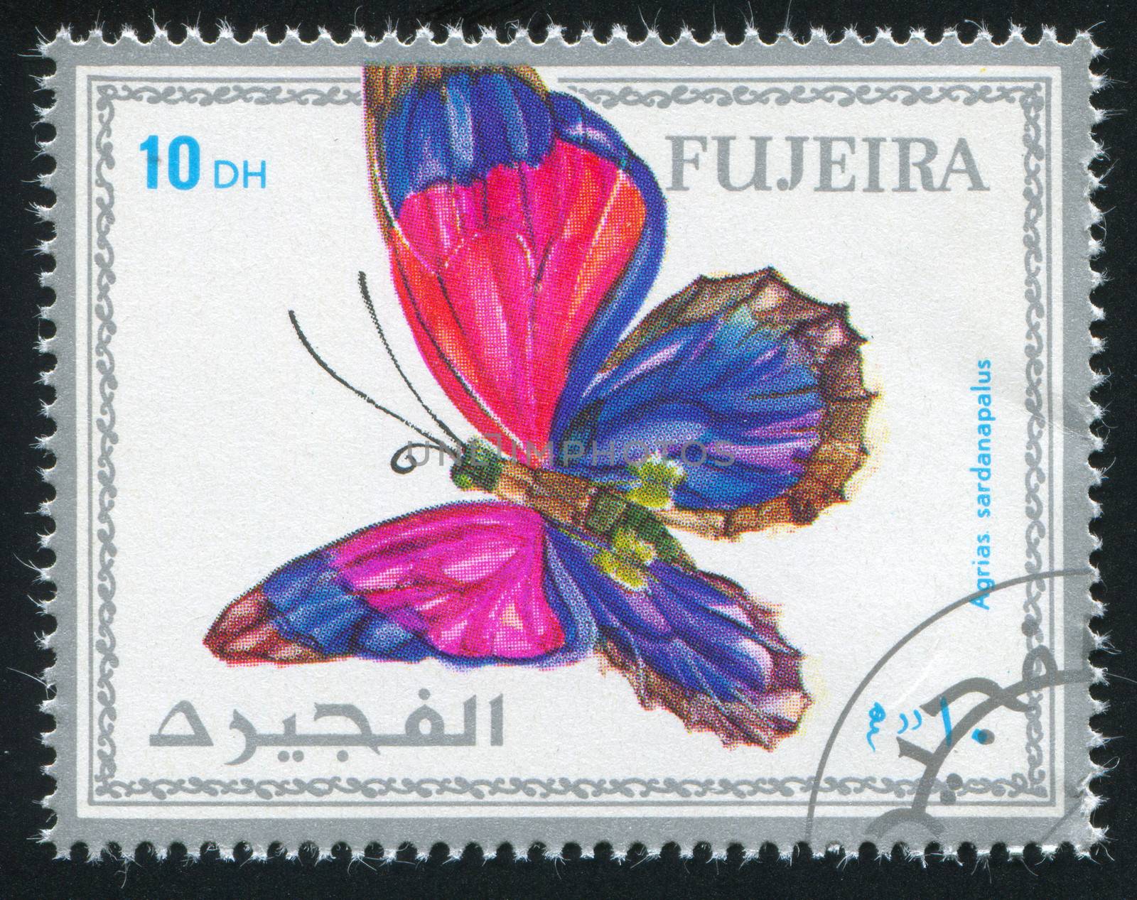 FUJEIRA - CIRCA 1972: stamp printed by Fujeira, shows butterfly, circa 1972